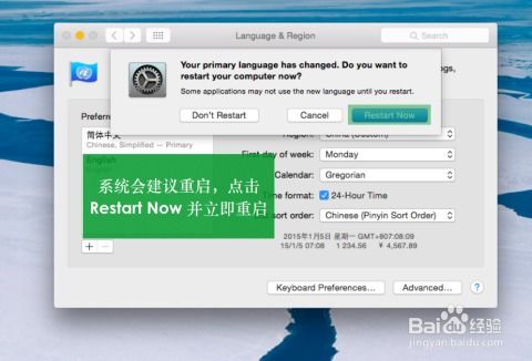 電腦軟件 現代數字生活的核心引擎